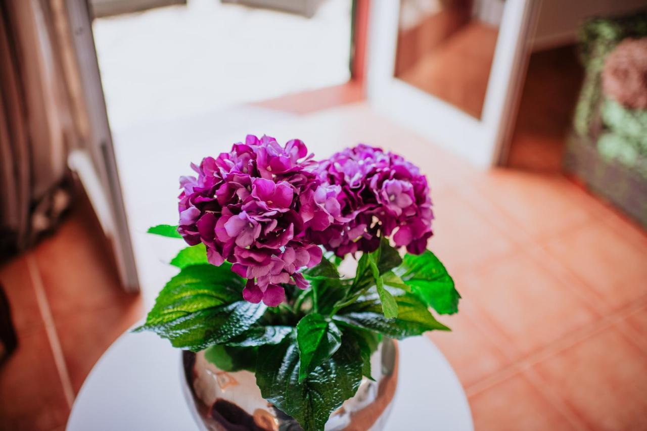Villa Amore Accommodation ปอล โด มาร์ ภายนอก รูปภาพ